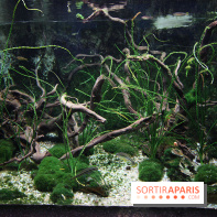 Aquarium de la Porte Dorée à Paris