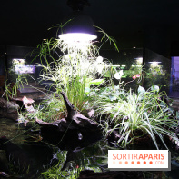 Aquarium de la Porte Dorée à Paris