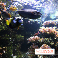 Aquarium de la Porte Dorée à Paris