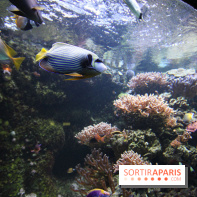 Aquarium de la Porte Dorée à Paris