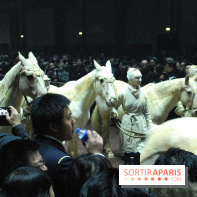 Nuit de Chine au Grand Palais