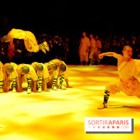 Nuit de Chine au Grand Palais