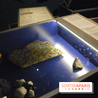 Exposition Nuit au Muséum Natinaol d'Histoire Naturelle