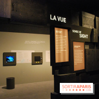 Exposition Nuit au Muséum Natinaol d'Histoire Naturelle