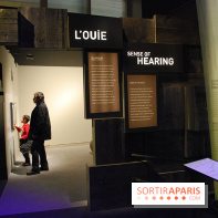 Exposition Nuit au Muséum Natinaol d'Histoire Naturelle