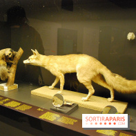 Exposition Nuit au Muséum Natinaol d'Histoire Naturelle