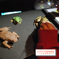 Exposition Nuit au Muséum Natinaol d'Histoire Naturelle