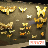 Exposition Nuit au Muséum Natinaol d'Histoire Naturelle