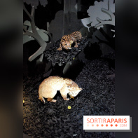 Exposition Nuit au Muséum Natinaol d'Histoire Naturelle