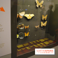 Exposition Nuit au Muséum Natinaol d'Histoire Naturelle