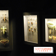 Exposition Nuit au Muséum Natinaol d'Histoire Naturelle