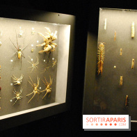 Exposition Nuit au Muséum Natinaol d'Histoire Naturelle