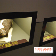 Exposition Nuit au Muséum Natinaol d'Histoire Naturelle