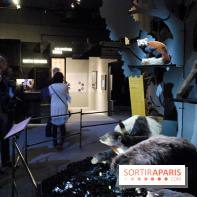 Exposition Nuit au Muséum Natinaol d'Histoire Naturelle