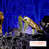 Exposition Nuit au Muséum Natinaol d'Histoire Naturelle