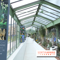 Mille & une orchidées 2014, l'exposition au Jardin des plantes