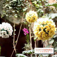 Mille & une orchidées 2014, l'exposition au Jardin des plantes