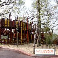 Astérix : La Forêt d'Idefix