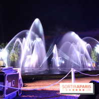 La Fête au Domaine de Saint Cloud, le spectacle de son et lumières