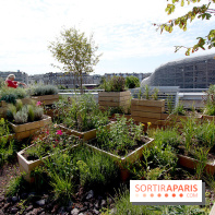 Molitor : terrasse rooftop, jardins