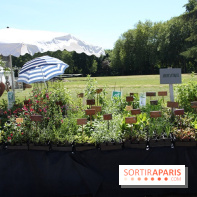 Journées de la Rose 2014