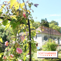 Journées de la Rose 2014