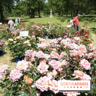 Journées de la Rose 2014