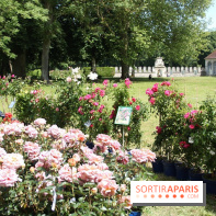 Journées de la Rose 2014