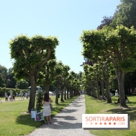 Journées de la Rose 2014