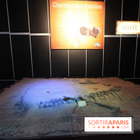 De l'ère des dinosaures à l'ère de glace au Parc des expositions de Paris