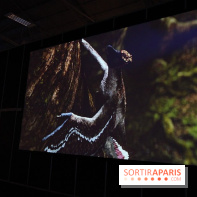De l'ère des dinosaures à l'ère de glace au Parc des expositions de Paris