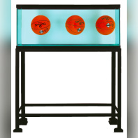 Jeff Koons au Centre Pompidou