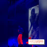 Rock En Seine 2014 - Die Antwoord