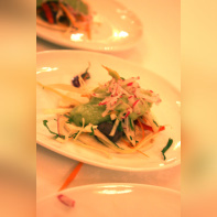 Village de Chefs 2011