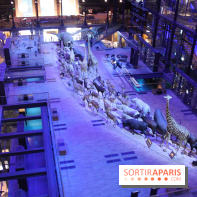 Grande Galerie de l'Evolution