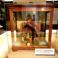 Les animaux célèbres de la Ménagerie, l'exposition