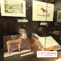 Les animaux célèbres de la Ménagerie, l'exposition