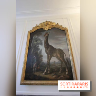 Les animaux célèbres de la Ménagerie, l'exposition