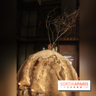 FIAC 2014 Jardin des Plantes