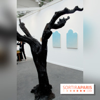 FIAC 2014 au Grand Palais