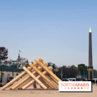 Découvrez les photos de la FIAC 2014 au Grand Palais et Hors les murs