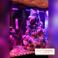 Lancement des illuminations et des vitrines 2014 des Galeries Lafayette