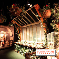 Exposition Harry Potter à Paris, Cité du Cinéma