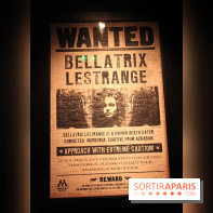 Exposition Harry Potter à Paris, Cité du Cinéma