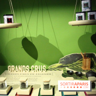 Les thés de la Pagode à Saint-Lazare