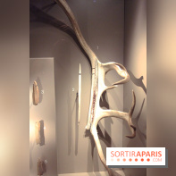 La Grotte de Lascaux à Paris !