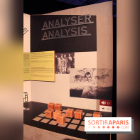 La Grotte de Lascaux à Paris !