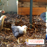 Ground Control 2015 à Paris