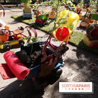 Jardins, jardin 2015 aux Tuileries