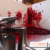 Shooting into the Corner  d'Anish Kapoor au Château de Versailles